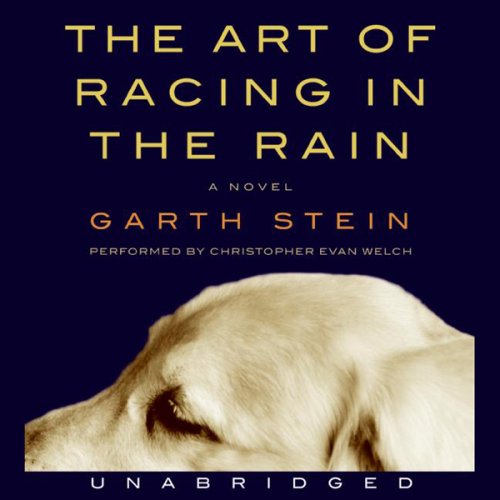 the art of racing in the rain audiobook